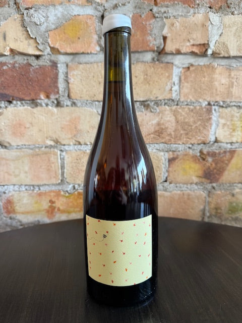 Marathon Downs 'Down the Garden Path' Rose 2025